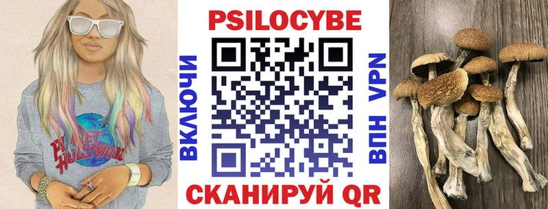 Галлюциногенные грибы Psilocybe  Купить  Ворсма 